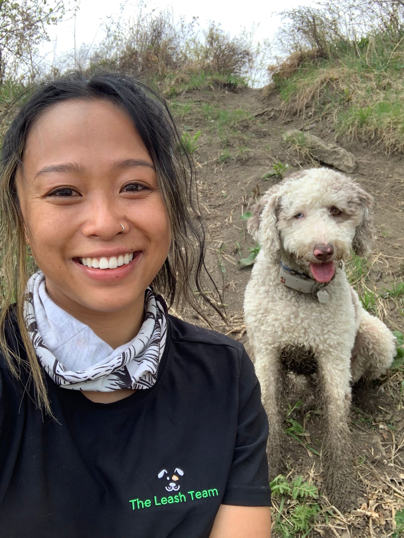 Private Dog Training Edmonton Puppy Training Classes The Leash Team